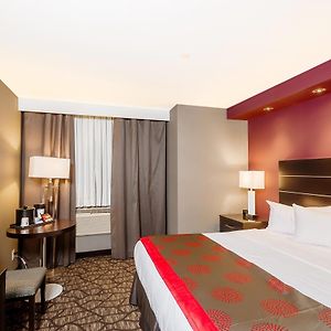 King Room Mobility Access or Non-Smoking